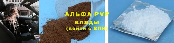 прущие крисы Инта