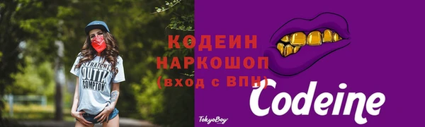 прущие крисы Инта