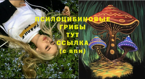 ешки Иннополис