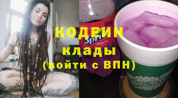 прущие крисы Инта