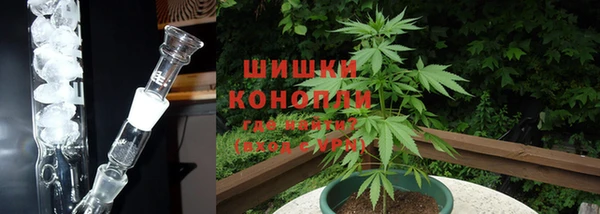 ешки Иннополис