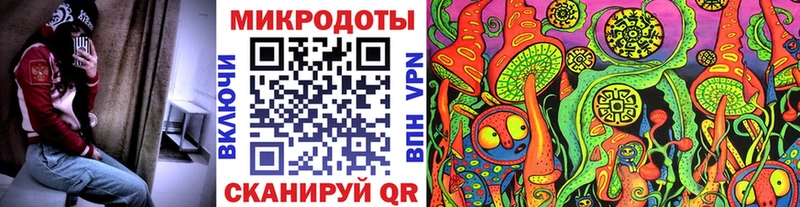 закладки  Горячеводский  Псилоцибиновые грибы прущие грибы 